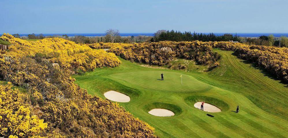 Druids Glen Resort Ньютаун-Маунт-Кеннеді Екстер'єр фото
